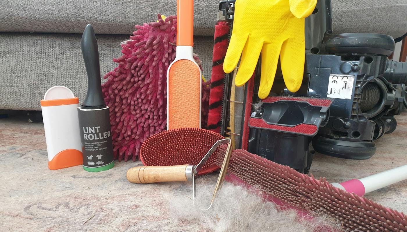 Everything you need to get rid of dog hair in your home